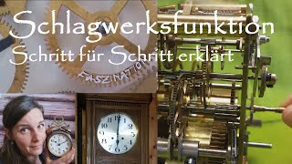 So funktioniert das Schlagwerk einer mechanischen Uhr SchlagGongFunktionsweiseFunktionchime [upl. by Drehcir25]