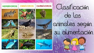 Animales carnívoros herbívoros omnívoros para niños [upl. by Demaria]