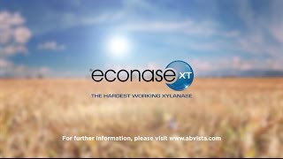 Econase XT  the hardest working xylanase [upl. by Roch]