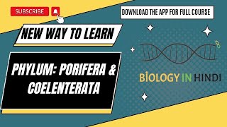 Phylum Porifera amp Coelenterata Class 11  संघ पोरीफेरा व सीलेंट्रेटा  कक्षा 11 NEET biology [upl. by Elleira]