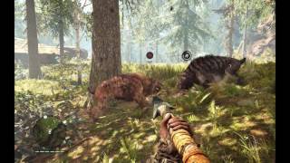 Far Cry Primal  Bloodfang Sabretooth vs Sabretooth Tiger [upl. by Rivkah523]