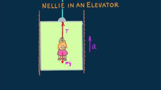 HewittDrewit PHYSICS 23 Nellie in an Elevator [upl. by Anyaj]