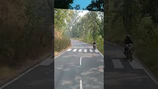 travel speed amazon jungle tygar kanha Saturda jangling bafelo [upl. by Onitsuj]