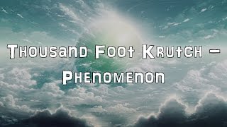 Thousand Foot Krutch  Phenomenon Acoustic CoverLyricsKaraoke [upl. by Nizam35]