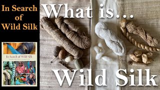 What is Wild Silk [upl. by Erminna]