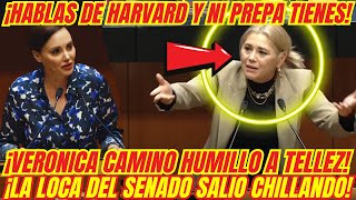 ¡BOFETADON QUE SE LLEVÓ LA LOCA DEL SENADO ¡VERONICA CAMINO LA HIZO TRIZAS [upl. by Morly]