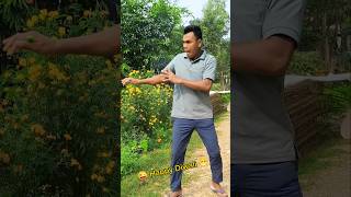 ￼Happy Diwali Full Funny 😜😁🤣 comedy ytshorts shorts rbcfunnydipu [upl. by Fontana980]