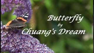 Chuangs Dream  Butterfly [upl. by Stormi]