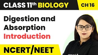 Digestion and Absorption in One Shot  Biology  Telangana and AP  NEET 2023  EAMCET 2023 [upl. by Blair]