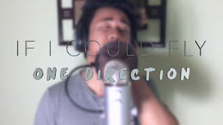 If I Could Fly  One Direction Cover [upl. by Enaxor]