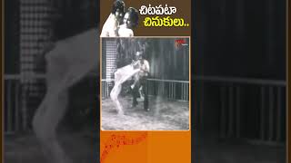 చిటపటా చినుకులు Agent Gopi telugu Movie  Chitapata Chinukulu Rain Song shorts youtubeshorts [upl. by Sherman]