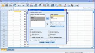 Two Way ANOVA  SPSS part 2 [upl. by Bevus]