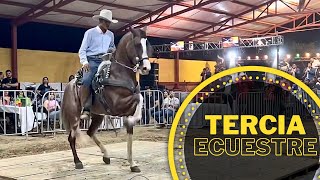 ⭐️CABALLOS BAILADORES en TERCIA ECUESTRE  SONORA [upl. by Akkinahs]