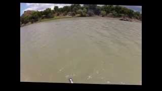 16lbs largemouth yellowfish on fly [upl. by Rather837]