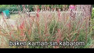 Bagbagan Ninang karaoke1 kankanaeysongs igorotsongs cttomusic [upl. by Ahsimin547]