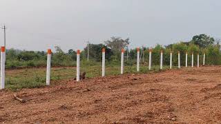 9 acre plain land for sale near mysore 10 km ring road rate per acre 80 laksh negotiabl 9611154959 [upl. by Maher]