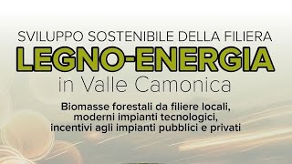 Sviluppo sostenibile della filiera LEGNOENERGIA in Vallecamonica [upl. by Eenahs850]