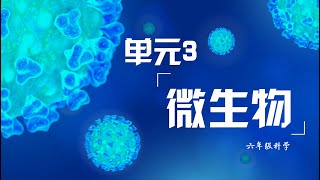 6年级  科学  单元3 微生物 （1） [upl. by Kliber]