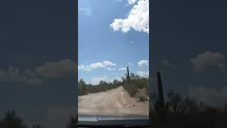 Saguaro National Park [upl. by Ahsinert]