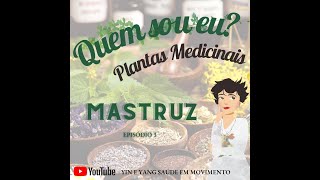 Chenopodium ambrosioides L  Mastruz  Quem sou eu Episódio 3 [upl. by Goodard]