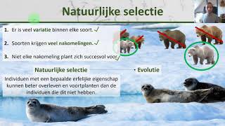 Bio  Evolutietheorie natuurlijke selectie en Darwin  Evolutie 3 [upl. by Nance91]