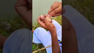 Fishing in pond 🐟 Village hooking fish fish fishinglife trendingshorts youtubeshorts fishing [upl. by Zenia]