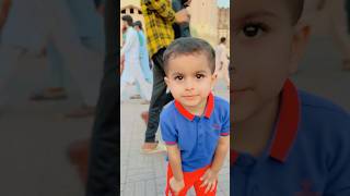 Shahi qala Lahore youtubeshorts shahzainpirzada [upl. by Rubbico685]