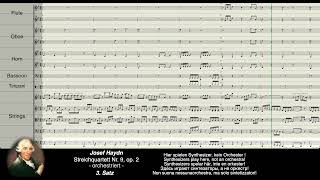 Haydn Digital Streichquartett Nr 9 opus 2  orchestriert [upl. by Ahsenauj]