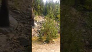 Libby Creek Recreational Gold Panning Area Montana [upl. by Nedap]