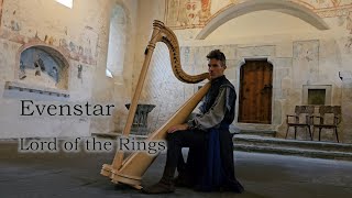 Evenstar  Lord of the Rings Celtic Harp Live Performance [upl. by Atterys]