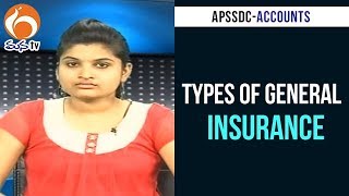 Types of General insurances  Accounts Training Program  APSSDC  Mana TV [upl. by Maybelle166]