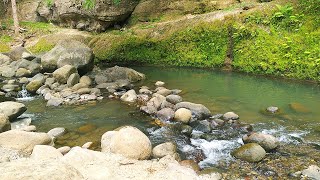 Take Time With the Calming Sound of a River Helps Recharge Energy to Face Tiring Days [upl. by Nnaeitak]