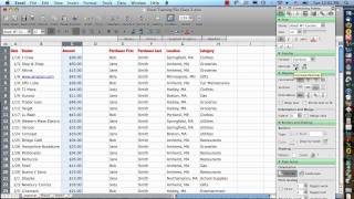 Excel 2008 for Mac Formatting Cells [upl. by Sitof]