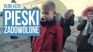 Pieski ze schroniska zadowolone  VLOG 225 [upl. by Vernon]