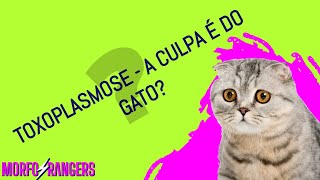 Toxoplasmase  A culpa é do gato [upl. by Ynneb43]