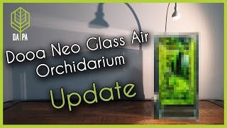 UPDATE Dooa Neo Glass Air  Orchidarium [upl. by Oirevas187]