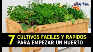 7 Cultivos Rápidos Para Empezar Un Huerto Urbano En 60 Días  La Huertina De Toni [upl. by Terris]