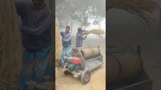 winter morning paddy thresher machine working [upl. by Ati]