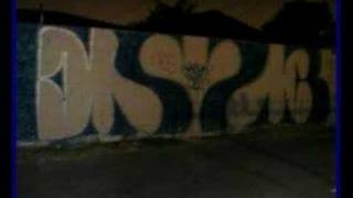 PRIMERA FLATSMR SMOKEY [upl. by Aldas]