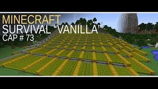 Minecraft Survival quotVanillaquot cap 73 montaña de trigo [upl. by Sugirdor]