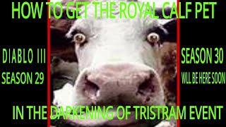 DARKENING OF TRISTRAM HOW TO GET THE ROYAL CALF SEASON 29 DIABLO III [upl. by Wessling]