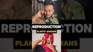 If Humans reproduce like Plants🌿 NEET funny video shorts shivamrajaiims neetexam funny [upl. by Minerva]