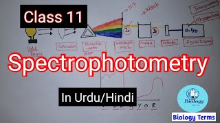 Spectrophotometry  Spectrophotometry Class 11  Chapter 1 Cell structure and function [upl. by Junette764]