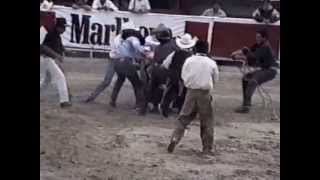 JARIPEO  TOROS EMBRABECIDOS COMPLETO CON CORRIDOS [upl. by Dennis]