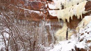 2010 Virgin River Flood News Breaking Footage [upl. by Hermine]