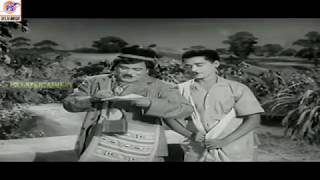 கல்யாண புரோக்கர் கேமரா மேன் காமெடி MRராதா காமெடி MRRadha Comedy [upl. by Eirotal453]