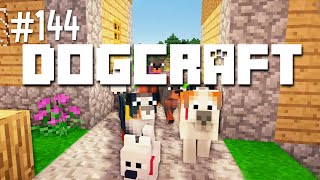 The Trial Run  Dogcraft Ep144 [upl. by Enirual]