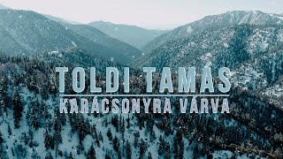 Toldi Tamás  Karácsonyra várva [upl. by Alvinia]