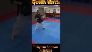 Kata Tutorial Taikyoku Shodan karate karatekata taikyokushodan [upl. by Rramed925]