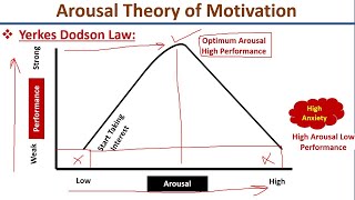 Arousal Theory of MotivationYerkes Dodson LawHebb TheoryUrduHindi [upl. by Jaela629]